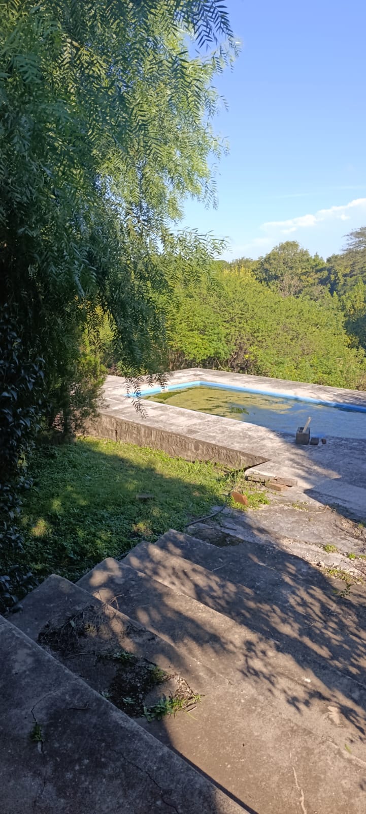 ESPECTACULAR PREDIO DE 9 LOTES CON CASA QUINTA Y PILETA EN VENTA - Imagen 6